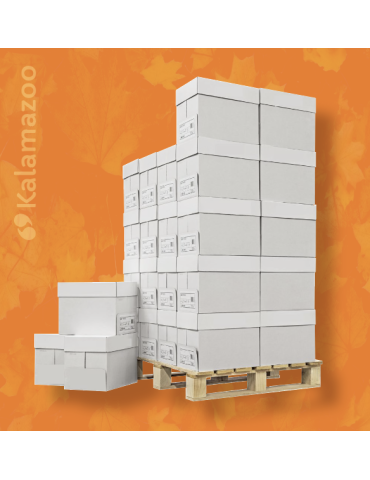 Palette de 40 Cartons COPY PAPER - 80g A4