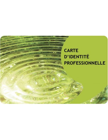 Carte d'identité professionnelle en PVC