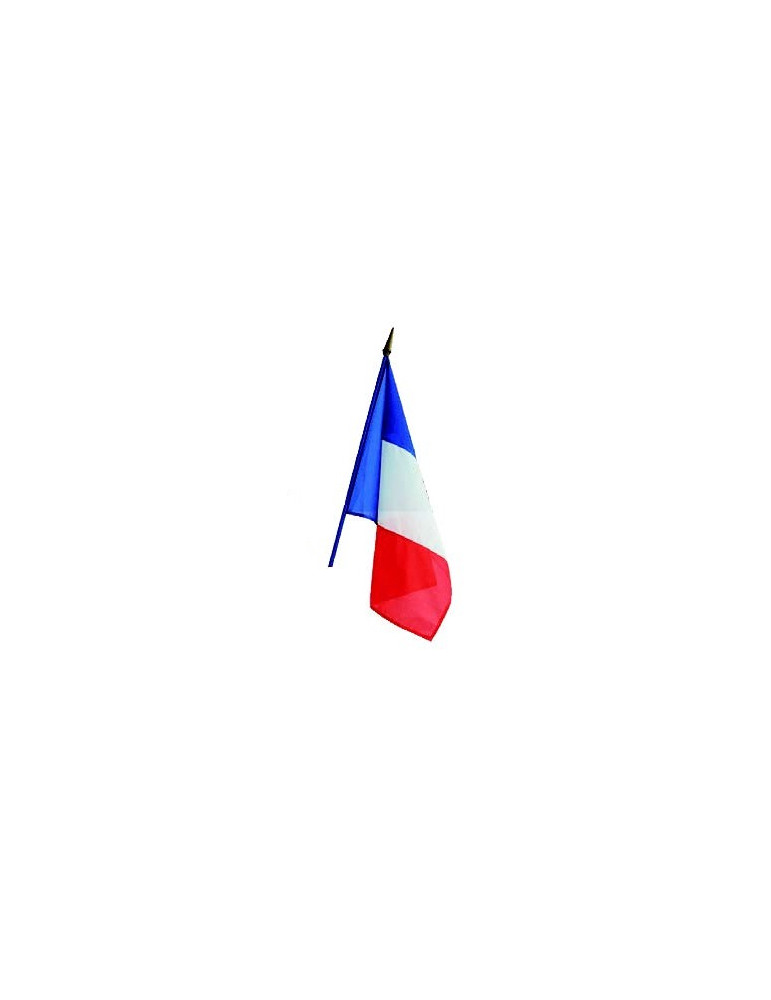 Drapeau France pour kit façade éco